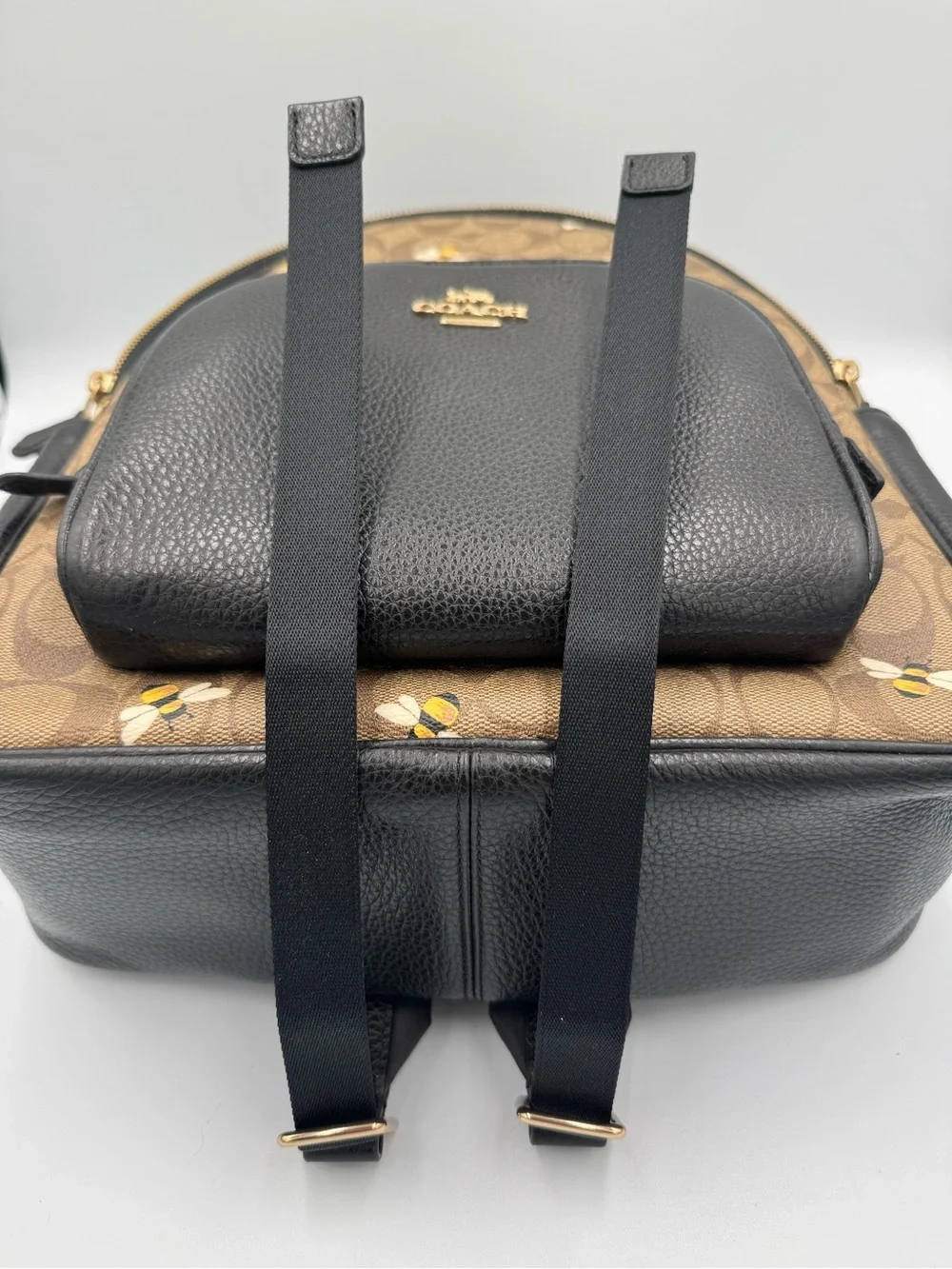 COACH Court Signature Canvas Backpack with Bee Print 🐝